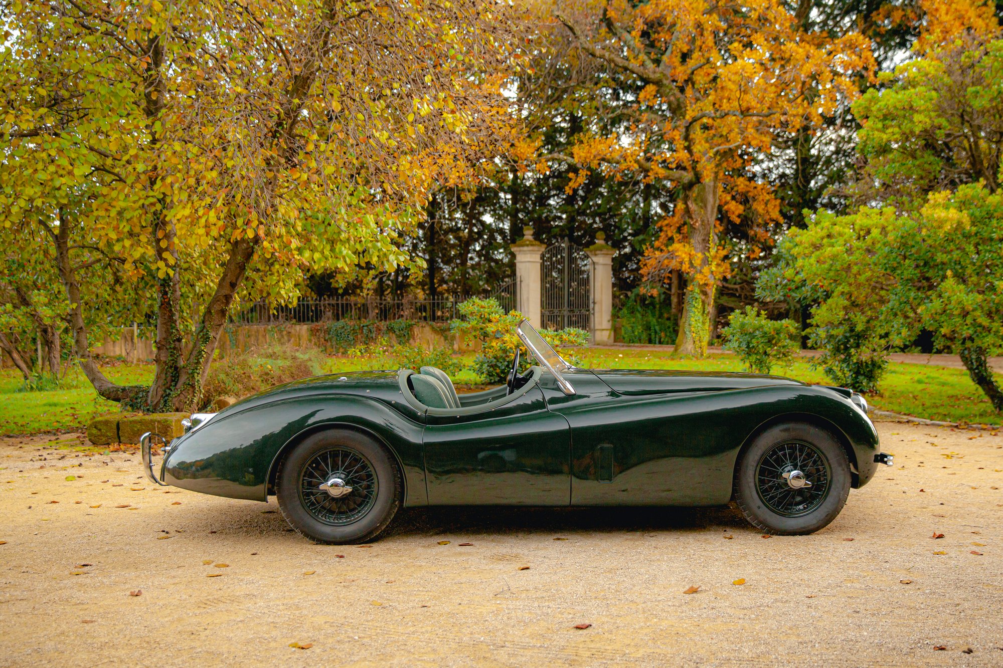 jaguar-xk-120-v12